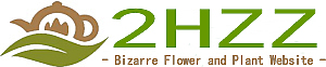 2HZZ Bizarre Flower and Plant Website