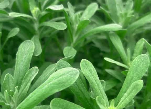 屏幕截图 2026-04-10 153716.jpg