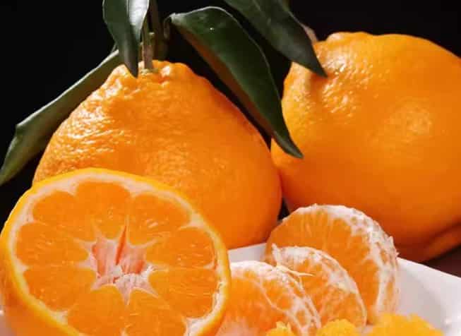 Raking Citrus Fruits: A Key Step for Healthy Trees