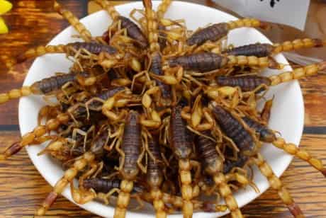 Fried Scorpion: An Adventurous, Nutritious Exotic Delicacy