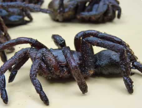 Fried Spider Cuisine: A Bold, Adventurous Exotic D