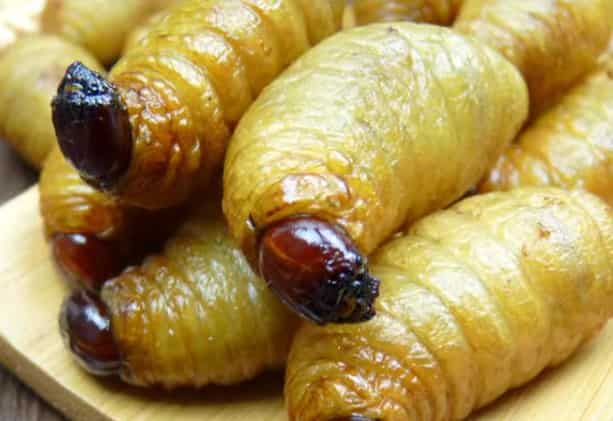 Fried Bamboo Shoots and Insect Food: A Delicious, 