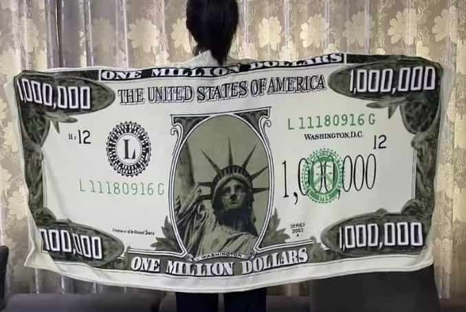 USD Blanket: Luxurious & Playful Wealth-Themed Comfort